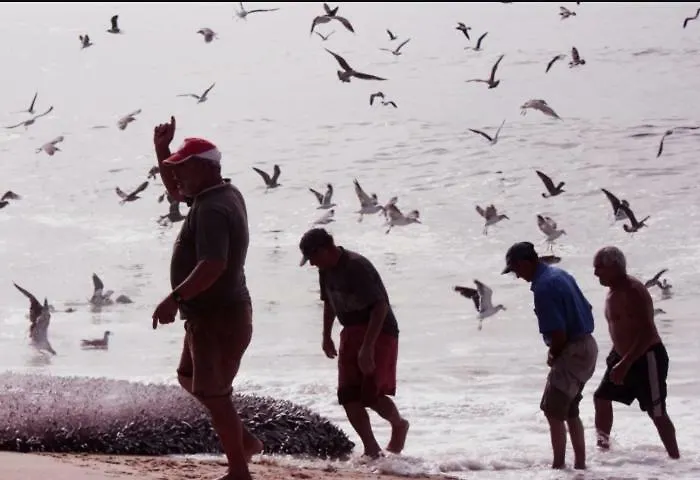 Palheiro Da * טושה