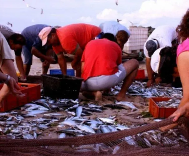 Palheiro Da * טושה